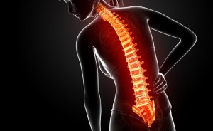 Anatomy of female back pain in black background