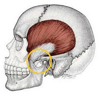 tmj-location