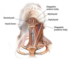 TMJ Throat Pain
